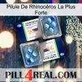 Pilule De Rhinocéros La Plus Forte viagra5